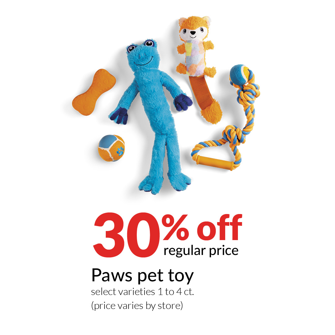 Paws Pet Toy